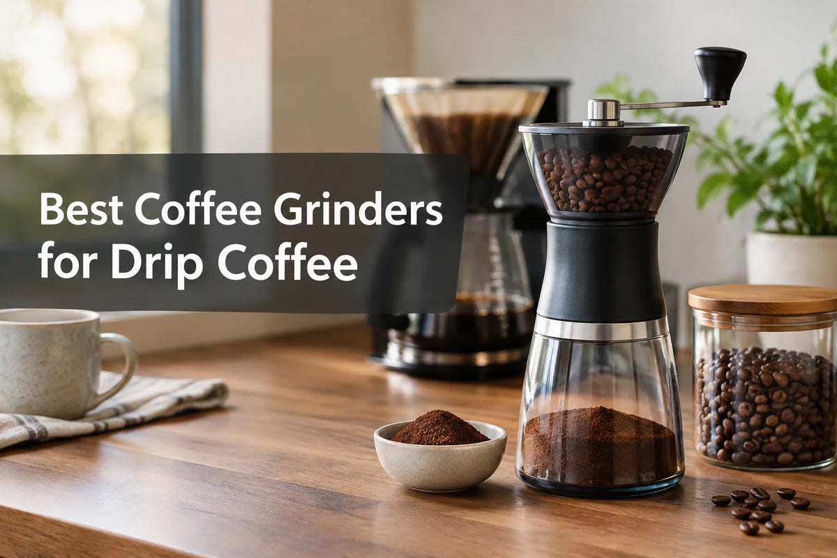 Best Coffee Grinders for Drip Coffee