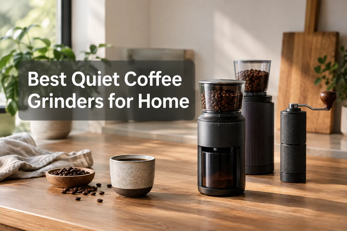 Best Quiet Coffee Grinders for Home