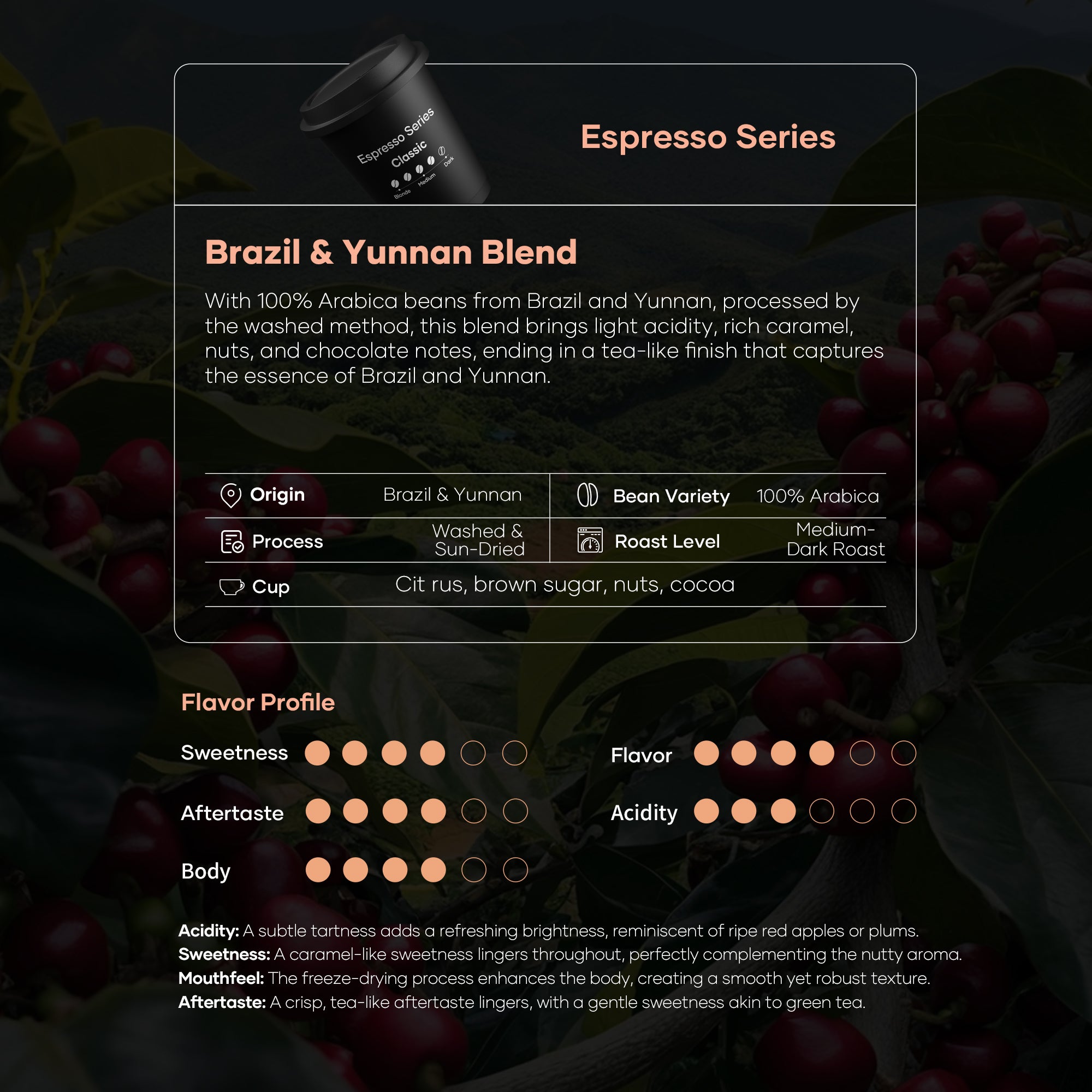 Quickshot Instant Cold Brew Coffee (Espresso Series)