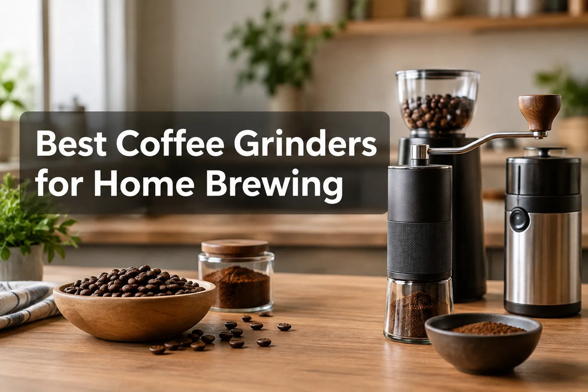 Best Coffee Grinders for Home Brewing