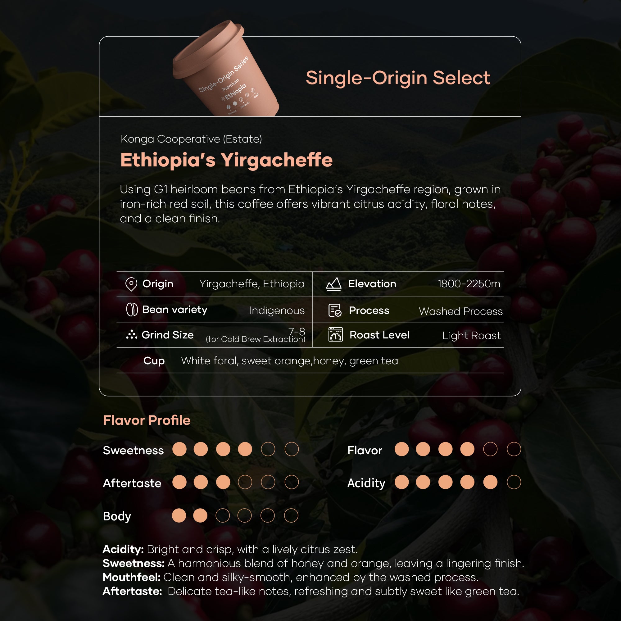 Quickshot Instant Cold Brew Coffee (Single-Origin Series)
