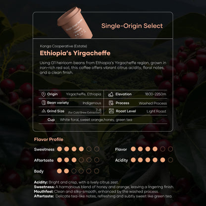 Quickshot Instant Cold Brew Coffee (Single-Origin Series)
