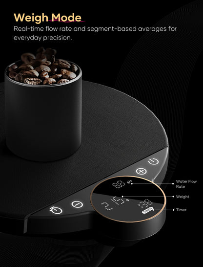 BALANCE Precision Coffee Scale