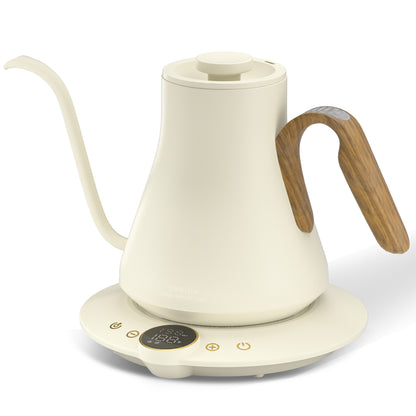 FLOW B9 Electric Kettle